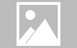 阳谷初始网页设计是什么（网页的原始）